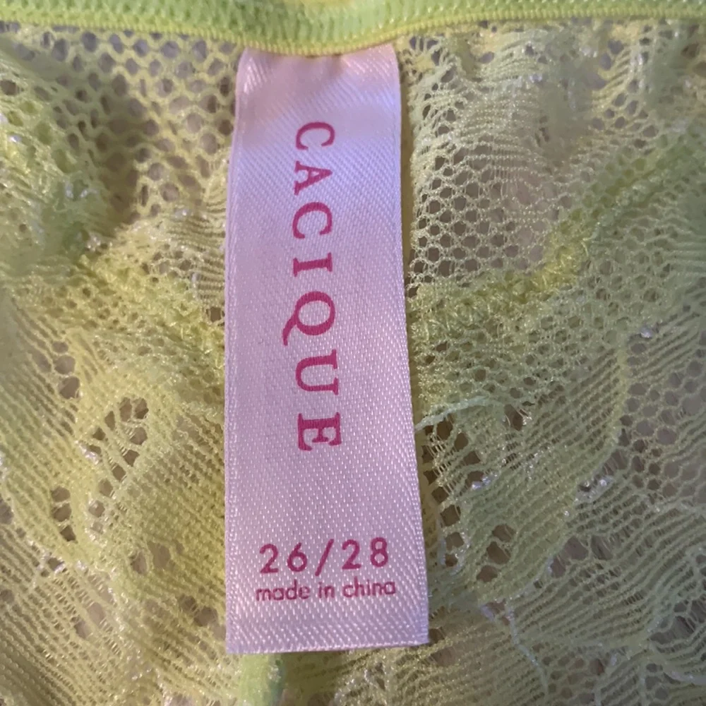 Size 4X / 26/28 Cacique Cheeky lace neon panty - Picture 4 of 5